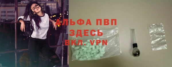 стаф Беломорск