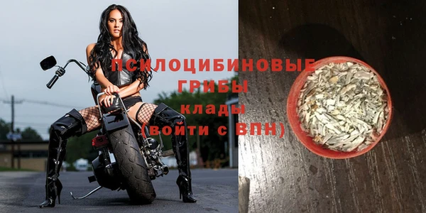 гашик Михайлов
